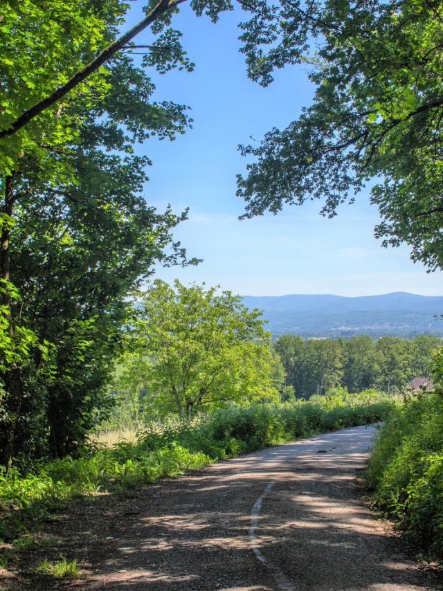 Circuit de Gévieux - Balade en Dombes