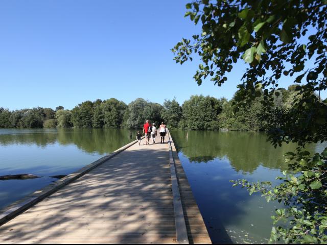 Passerelle du Parc des Oiseaux©Yves Thonnerieux