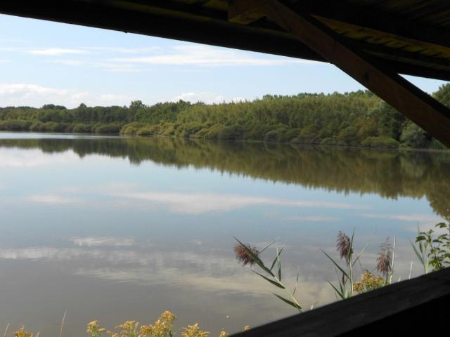 Vue sur l'étang de Vernange depuis l'observatoire