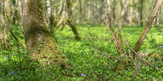 Circuit de balade proche de Lyon en pleine nature