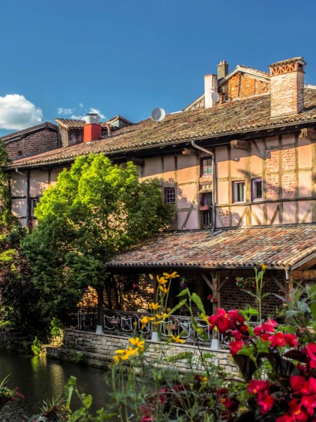 Berges Fleuries de Chatillon sur Chalaronne